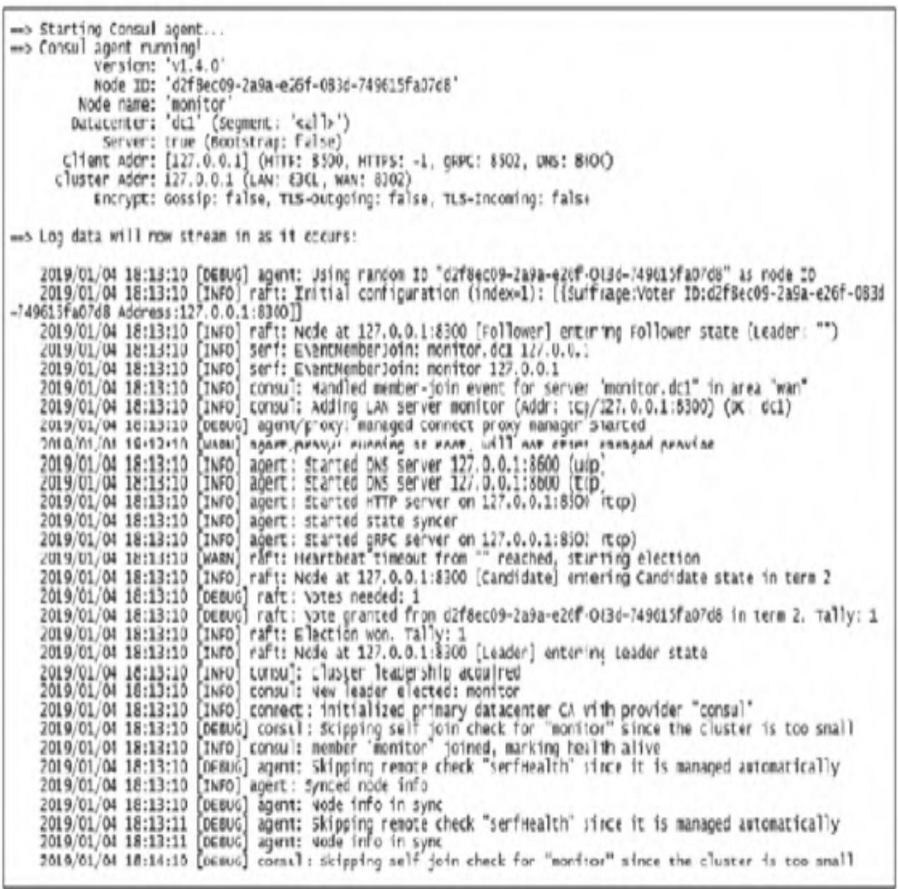 图7：开发者模式的Consul agent启动输出信息