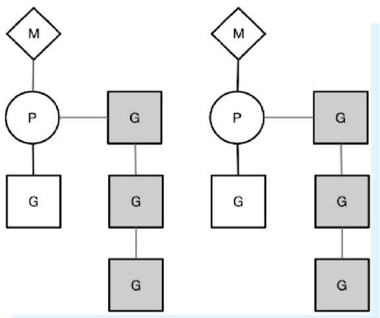 图4-2 并行示意图
